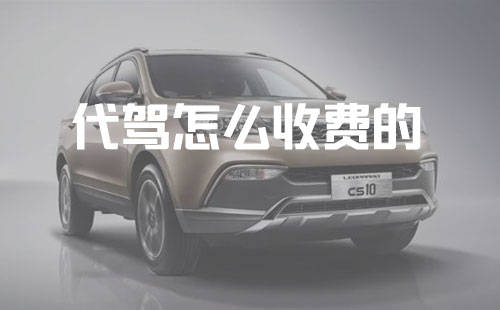 驶向盈利蓝海 代驾公司创业的商业模式与运营策略